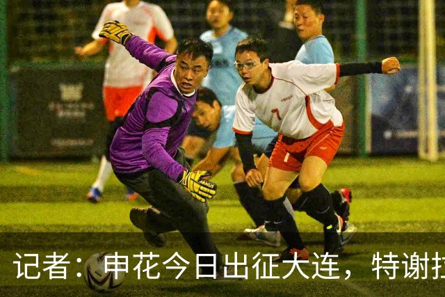 记者：申花今日出征大连，特谢拉、米内罗、李可因伤无法出战